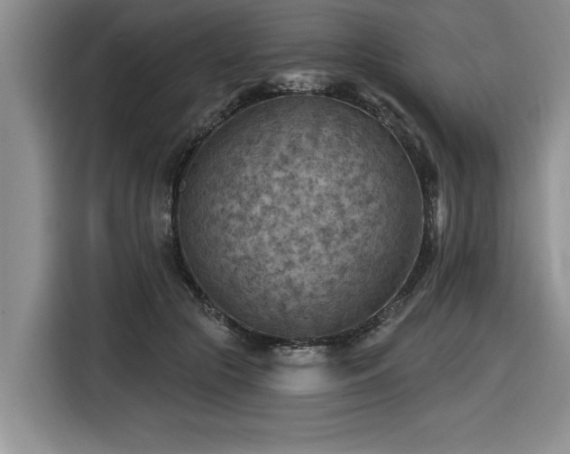 X0000116550553200912101416