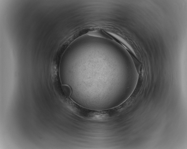 X0000116550555200912101416