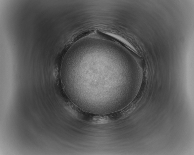 X0000116550559200912101416