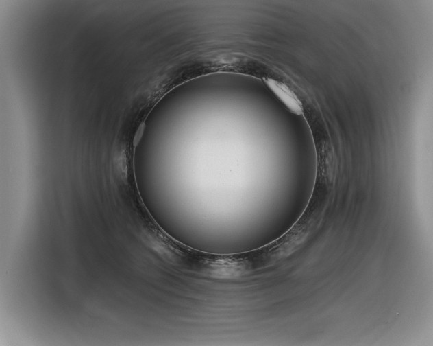 X0000116550562200912101416