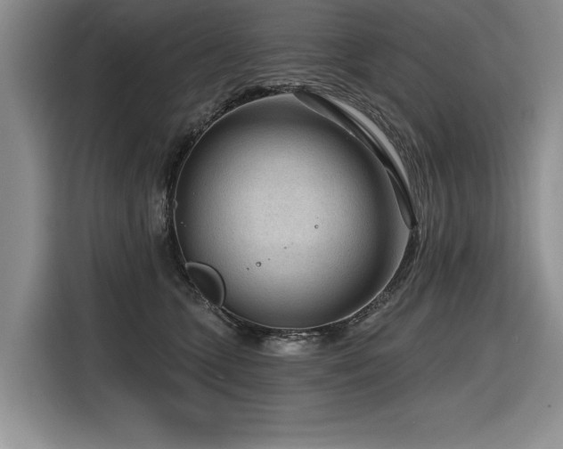 X0000116550563200912101416