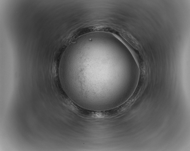 X0000116550565200912101416