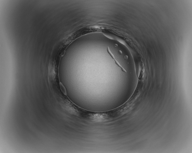 X0000116550566200912101416