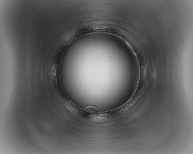 X0000116550567200912101416