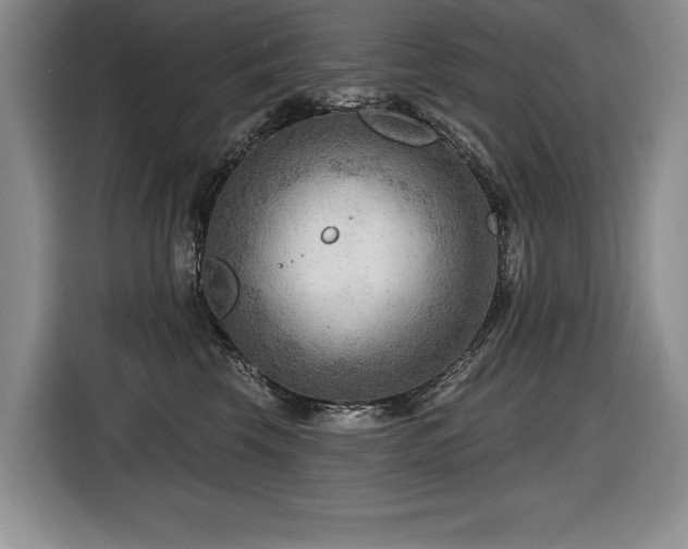 X0000116550569200912101416