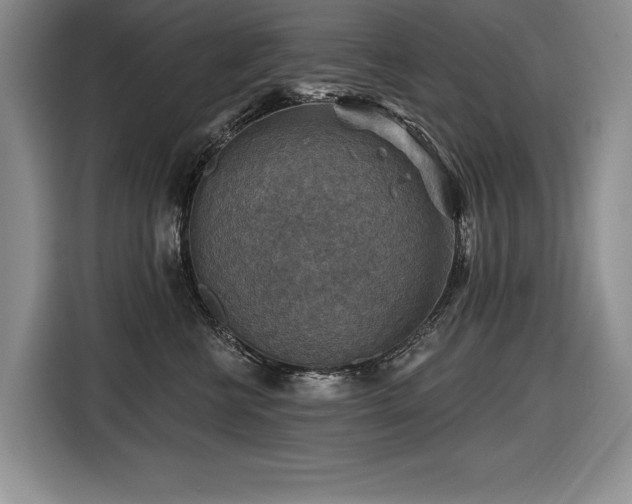 X0000116550570200912101416