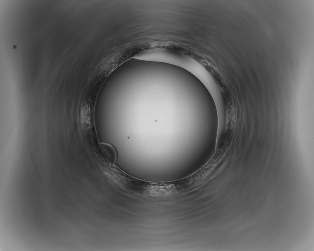 X0000116550571200912101416