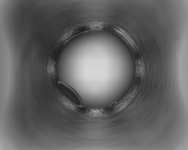 X0000116550573200912101416