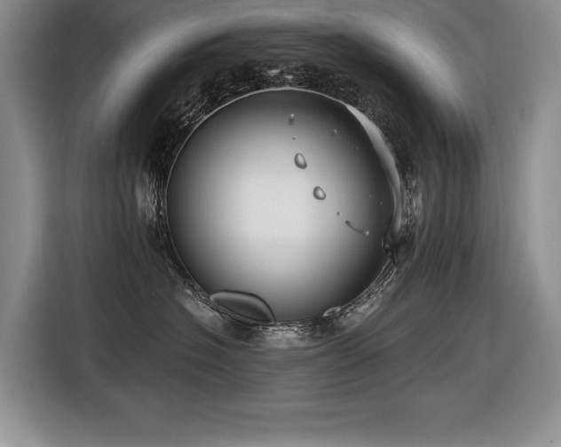 X0000116550574200912101416