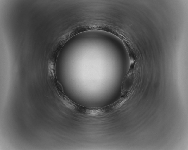 X0000116550575200912101416