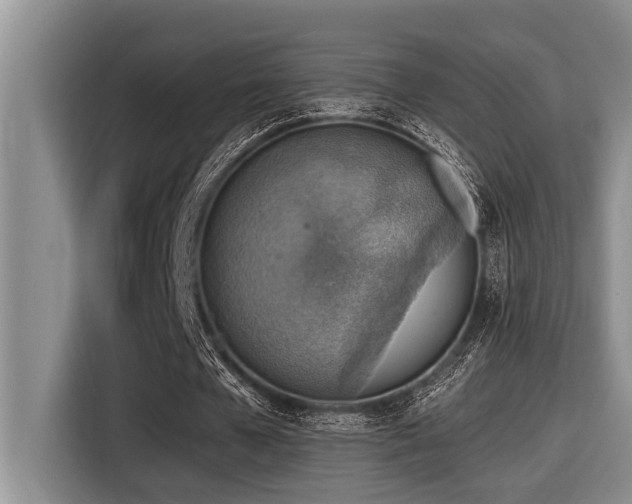 X0000116550577200912101415