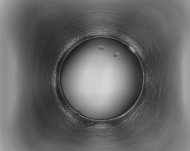 X0000116550578200912101415