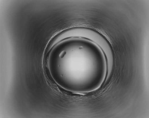 X0000116550579200912101415