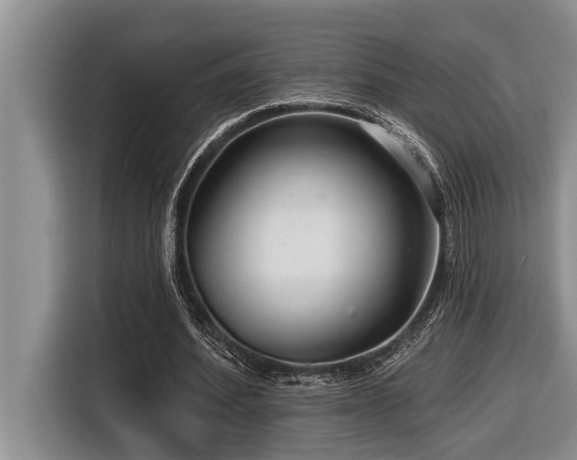 X0000116550580200912101415