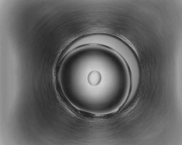 X0000116550581200912101415