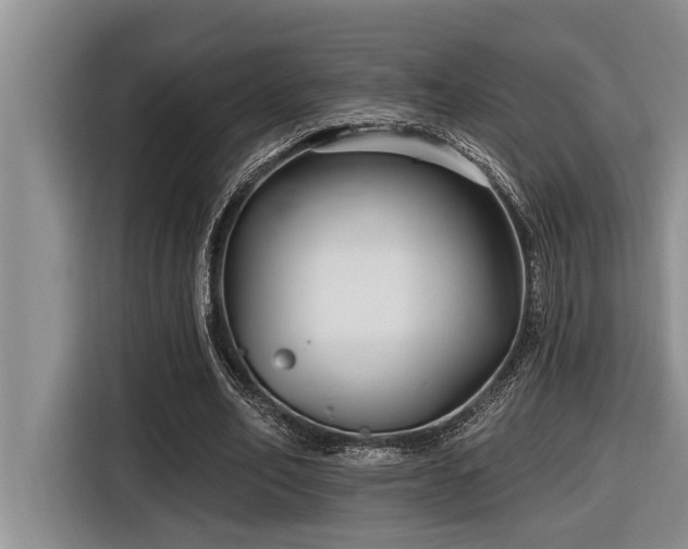 X0000116550582200912101415