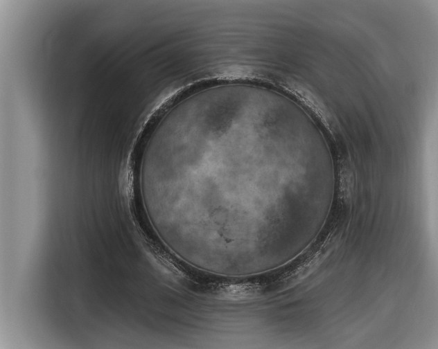 X0000116550584200912101415