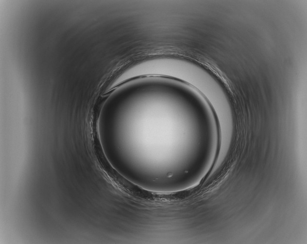 X0000116550585200912101415