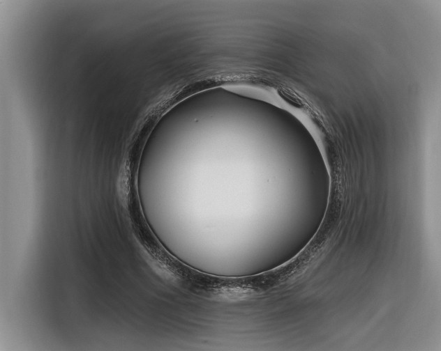 X0000116550586200912101415