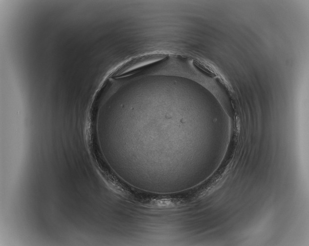 X0000116550588200912101415