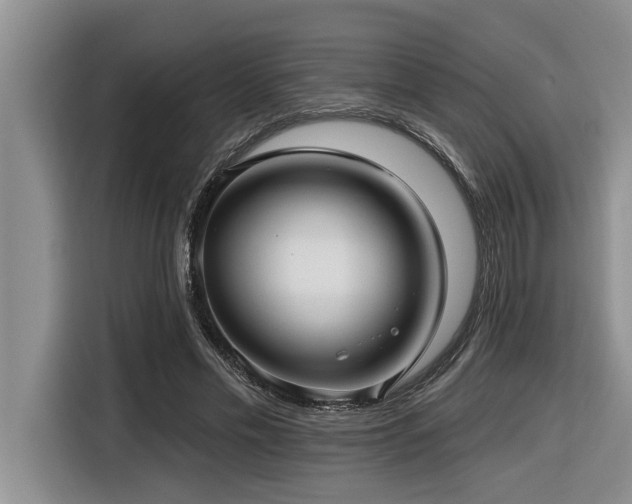 X0000116550589200912101415