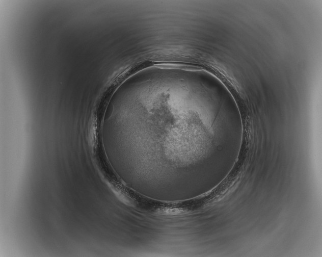 X0000116550590200912101415