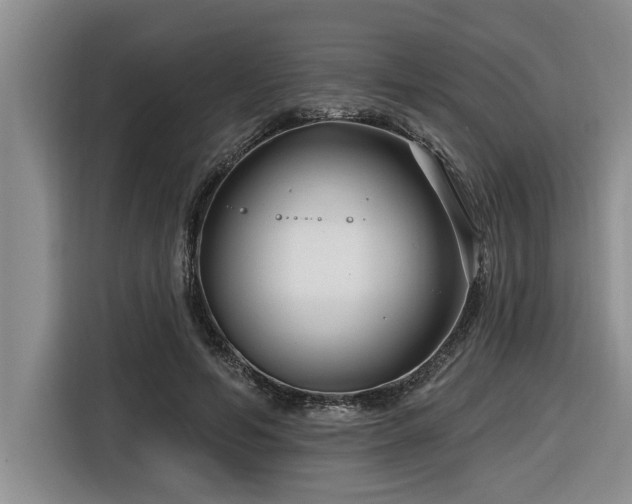 X0000116550594200912101415