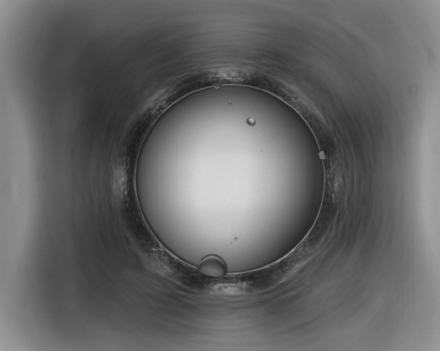 X0000116550595200912101415