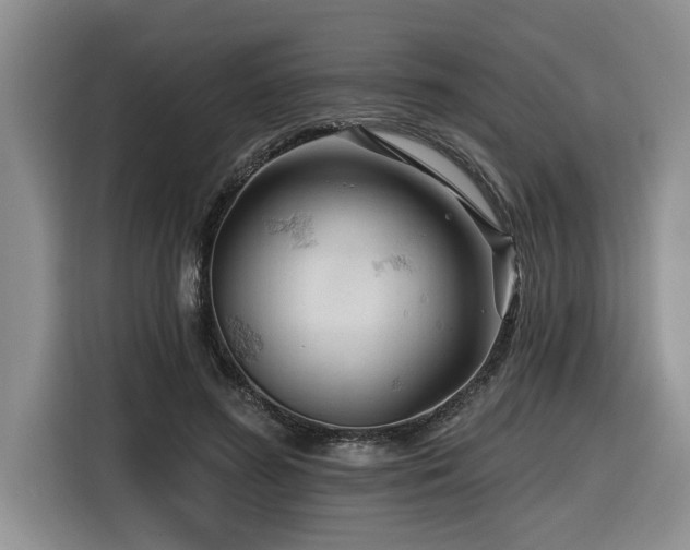 X0000116550596200912101415