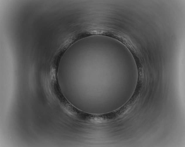 X0000116550598200912101415