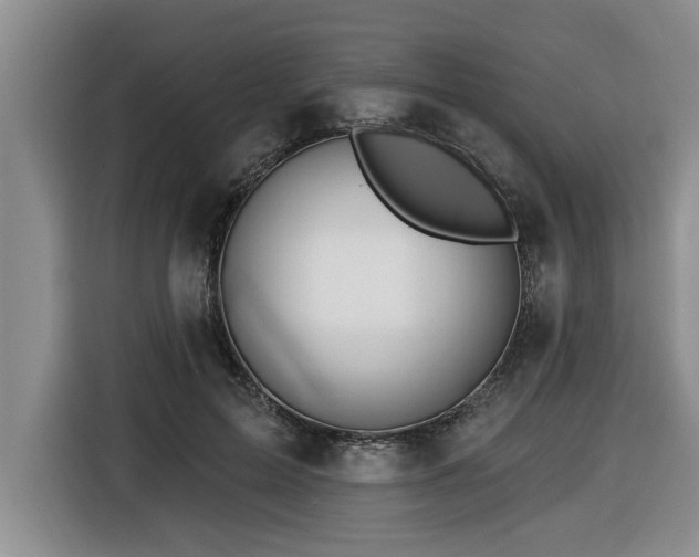 X0000116550599200912101415