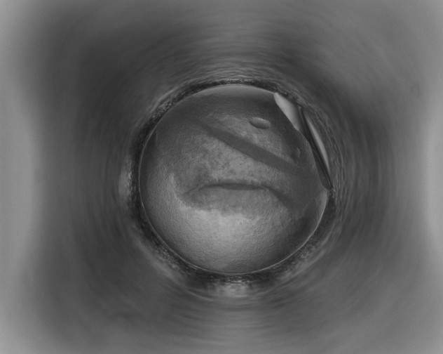 X0000116550600200912101415