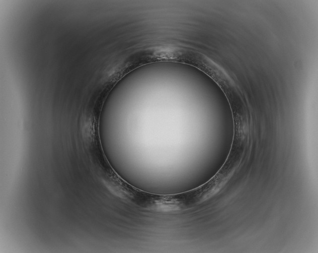 X0000116550603200912101415