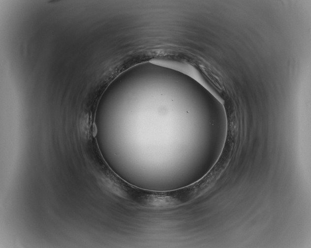 X0000116550605200912101415