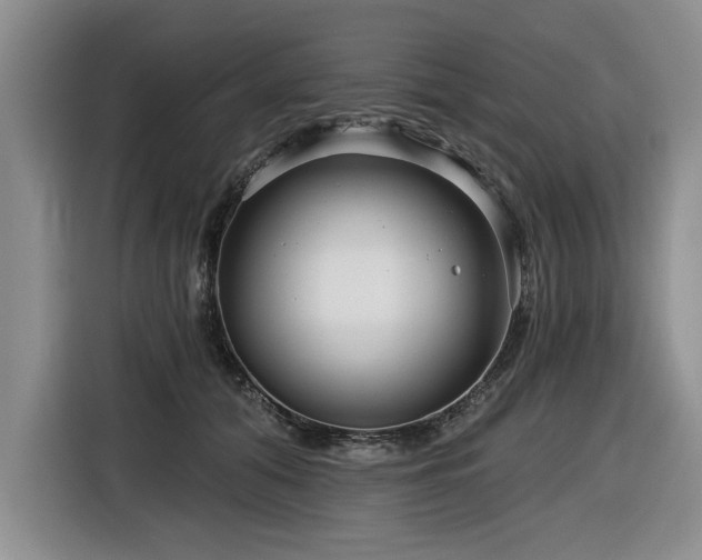 X0000116550608200912101415