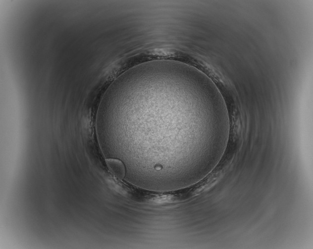 X0000116550609200912101415