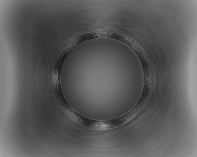 X0000116550610200912101415