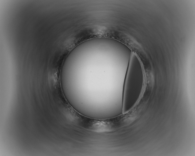 X0000116550611200912101415