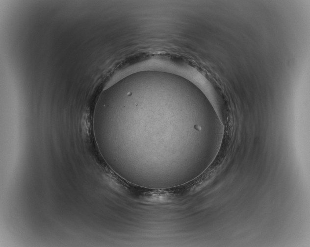 X0000116550612200912101415