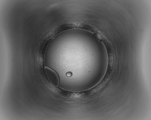 X0000116550613200912101415