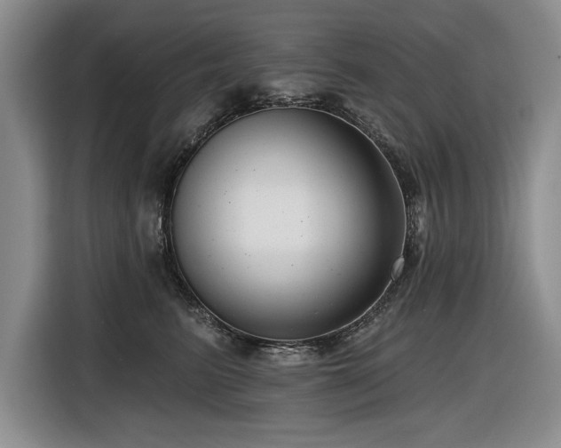 X0000116550615200912101415