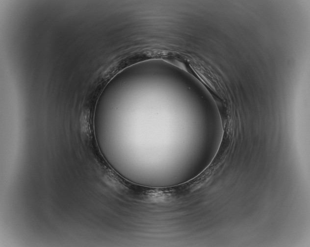 X0000116550616200912101415