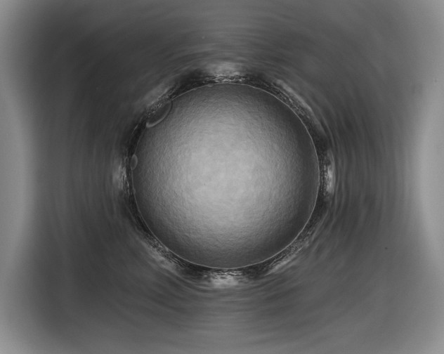 X0000116550618200912101415