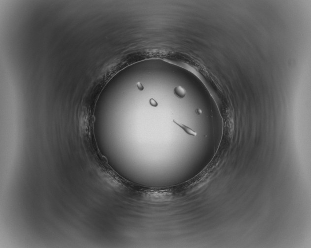 X0000116550619200912101415