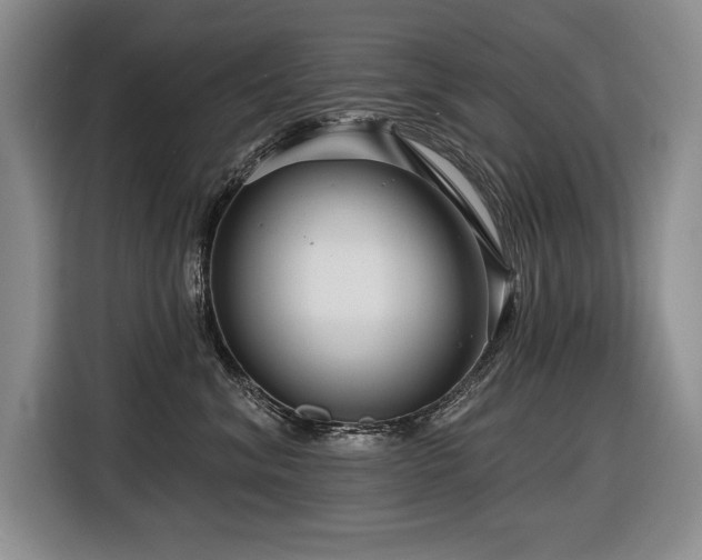 X0000116550620200912101415