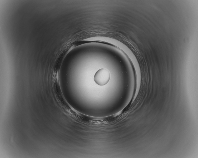 X0000116550621200912101415