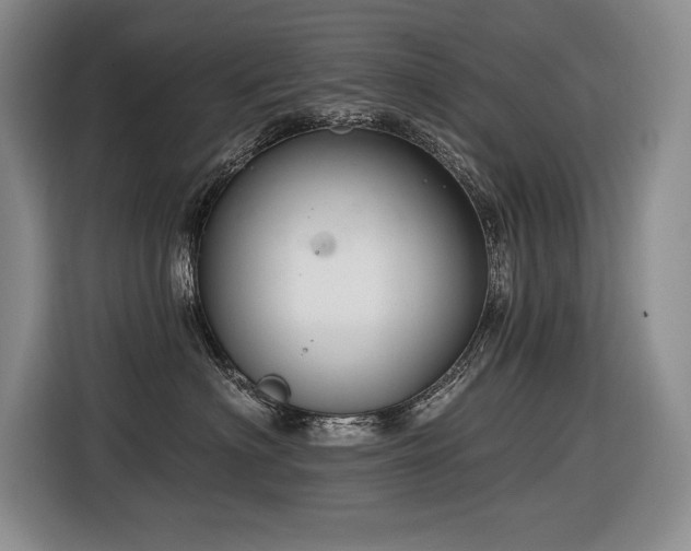 X0000116550622200912101415