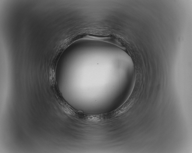 X0000116550624200912101415