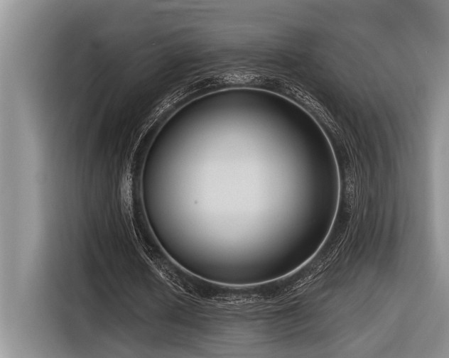 X0000116550626200912101414