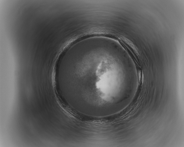 X0000116550627200912101414